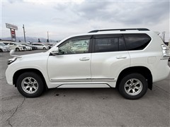 ランクルプラド TZ-G