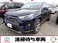 トヨタ RAV4 ハイブリッドG
