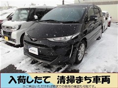 エスティマアエラスPサイドリフトUPシ