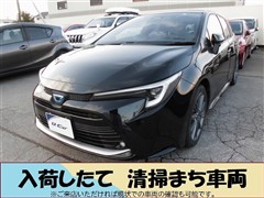 カローラツーリング HV WxB