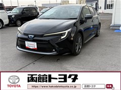 トヨタ カローラツーリング HV WxB