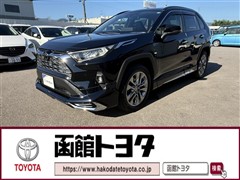 トヨタ RAV4 G Zパッケージ