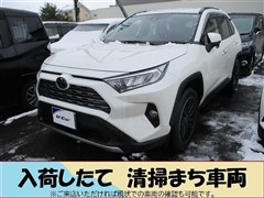 RAV4 G Zパッケージ