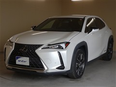 UX250h バージョンC