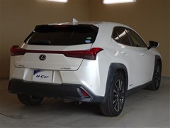 UX250h バージョンC