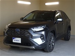 RAV4 ハイブリッドG