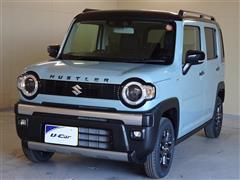 ハスラー HYBRID タフワイルド