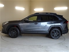 RAV4 アドベンチャーオフR