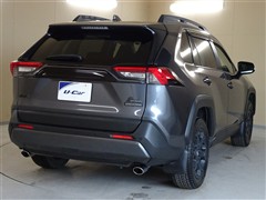 RAV4 アドベンチャーオフR