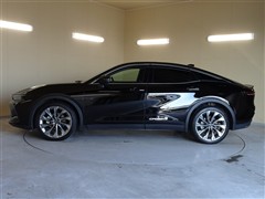 クラウン CO Gアドバ レザー