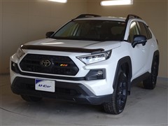 RAV4アドベンチャーオフロード2