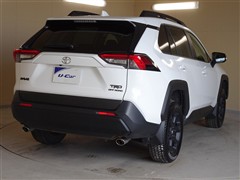 RAV4アドベンチャーオフロード2