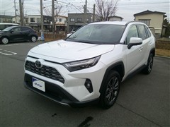 RAV4 ハイブリッドG
