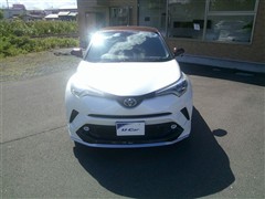 C-HR G