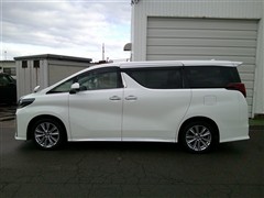 アルファード S TYPE GOLD2