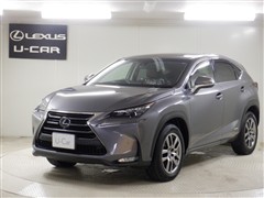 NX300h バージョンL