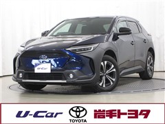 ソルテラ ET-SS 4WD