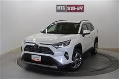 RAV4 G
