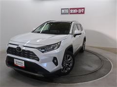 RAV4 G Zパッケージ