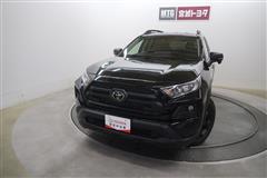 RAV4 アドベンチャー オフロート