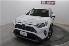 RAV4 G