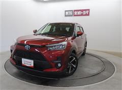 ライズ ハイブリッドZ