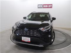 RAV4 ハイブリッドG