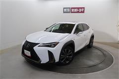 UX250h F SPORT