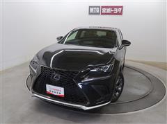NX300h F SPORT