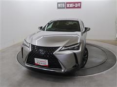 UX250h version C
