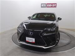 NX300h F SPORT