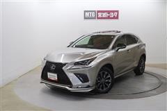 NX300h F SPORT