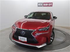 NX300h F SPORT