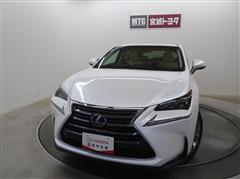NX300h I-PKG