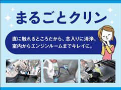 ムーヴキャンバス ストライプス G