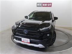 トヨタ RAV4 HV アドベンチャー