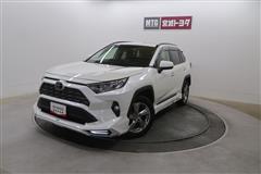 RAV4 G