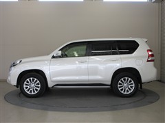 ランドクルーザープラド TZ-G
