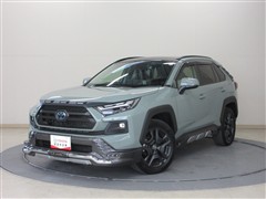 RAV4 HEV アドベンチャー