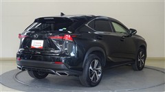 NX300 Iパッケージ AWD