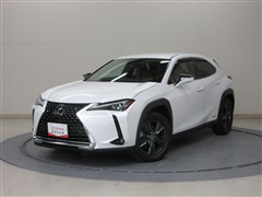 UX250h バージョンC AWD