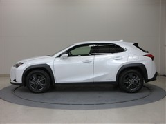 UX250h バージョンC AWD