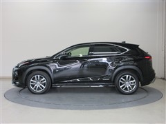 NX300h バージョンL AWD