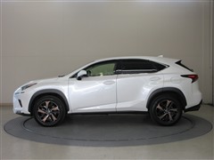 NX300 バージョンL AWD