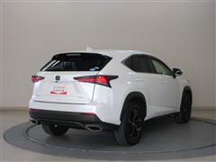 NX300 バージョンL AWD