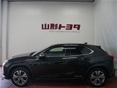 UX300e バージョンC