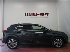 UX300e バージョンC