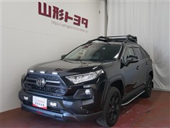 RAV4 アドベンチャー オフロート