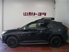 RAV4 アドベンチャー オフロート