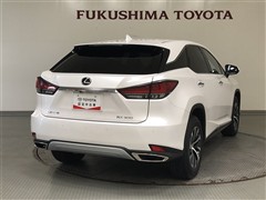 RX300
